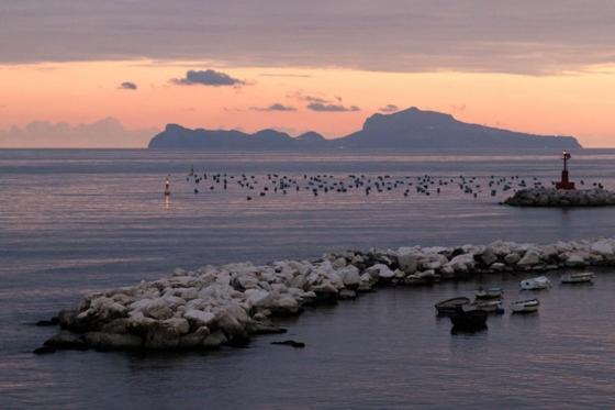 مبيت وإفطار نابولي Terrazze Del Lungomare المظهر الخارجي الصورة